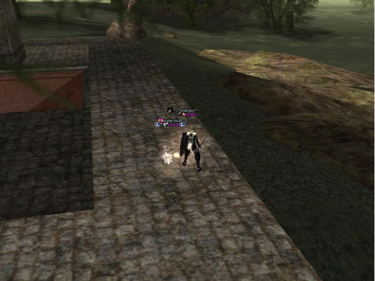 Hero down.JPG