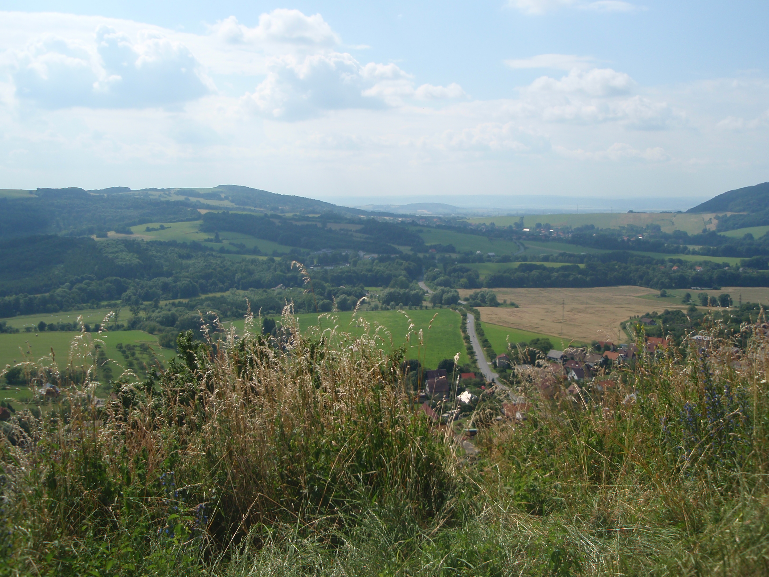 P7050013